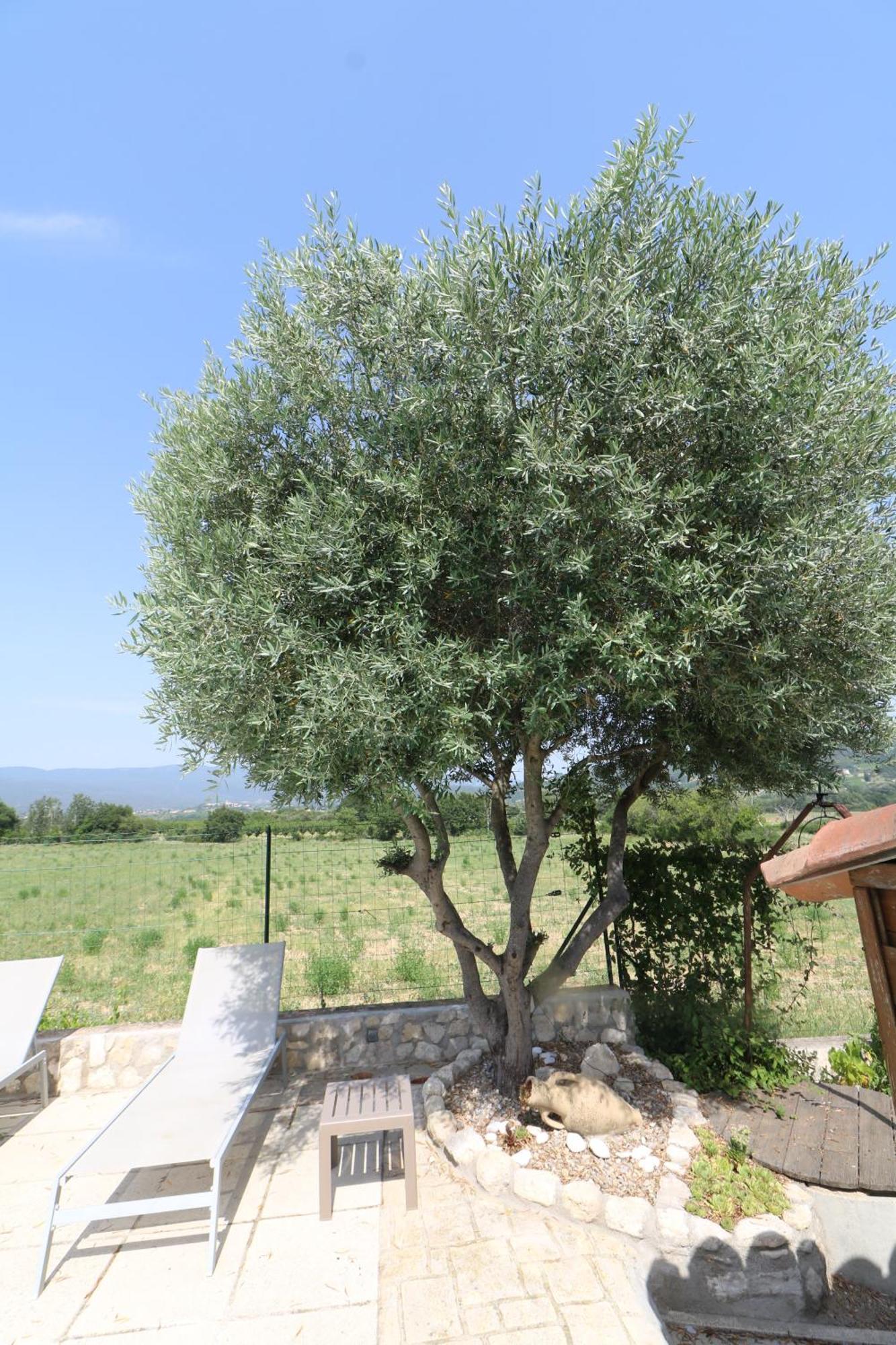 Gite De Charme Avec Piscine Dans Le Luberon Au Domaine Artemiss Villa Apt Buitenkant foto