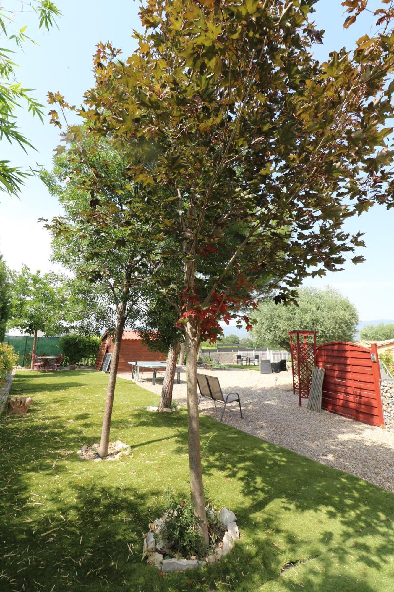 Gite De Charme Avec Piscine Dans Le Luberon Au Domaine Artemiss Villa Apt Buitenkant foto