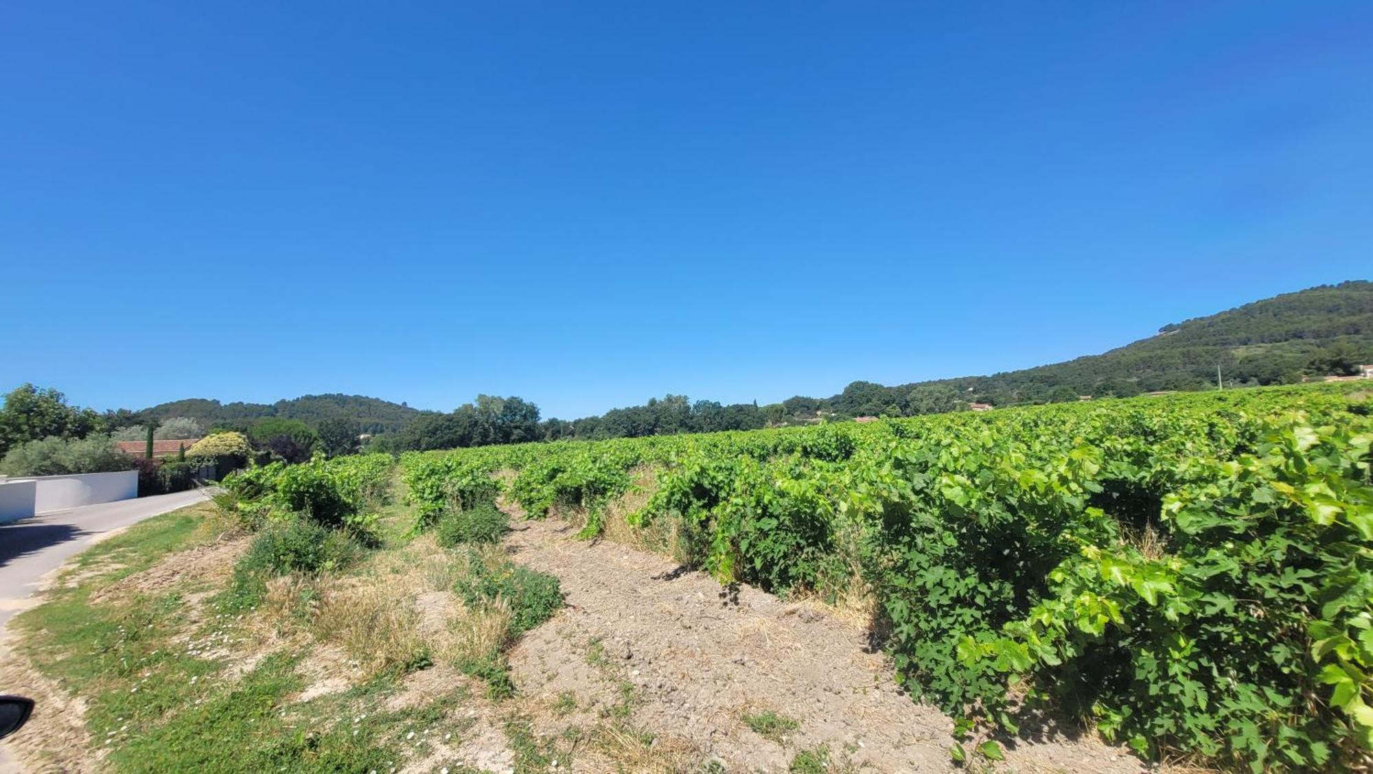 Gite De Charme Avec Piscine Dans Le Luberon Au Domaine Artemiss Villa Apt Buitenkant foto